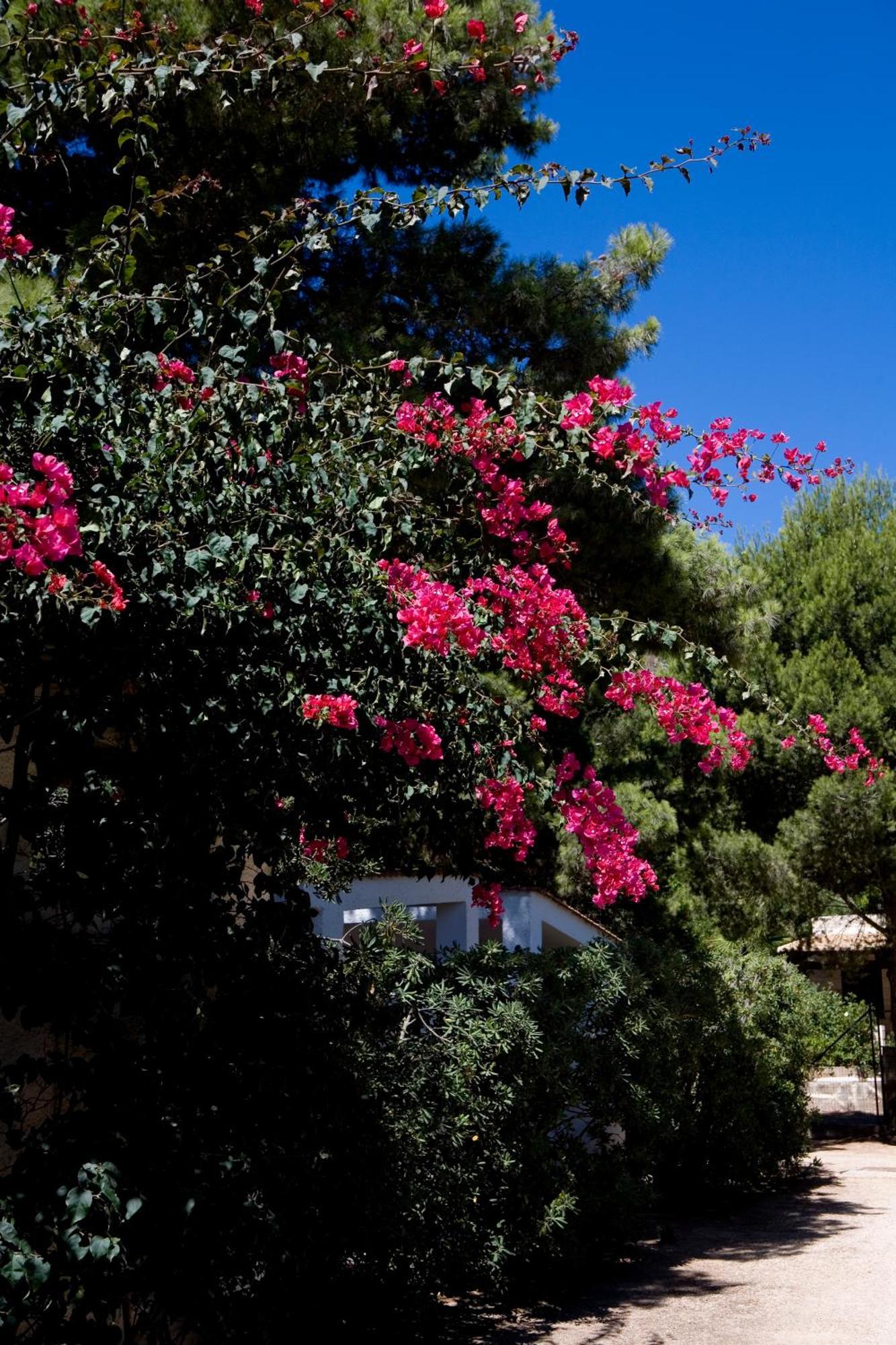 פאביננה Miramare Residence מראה חיצוני תמונה