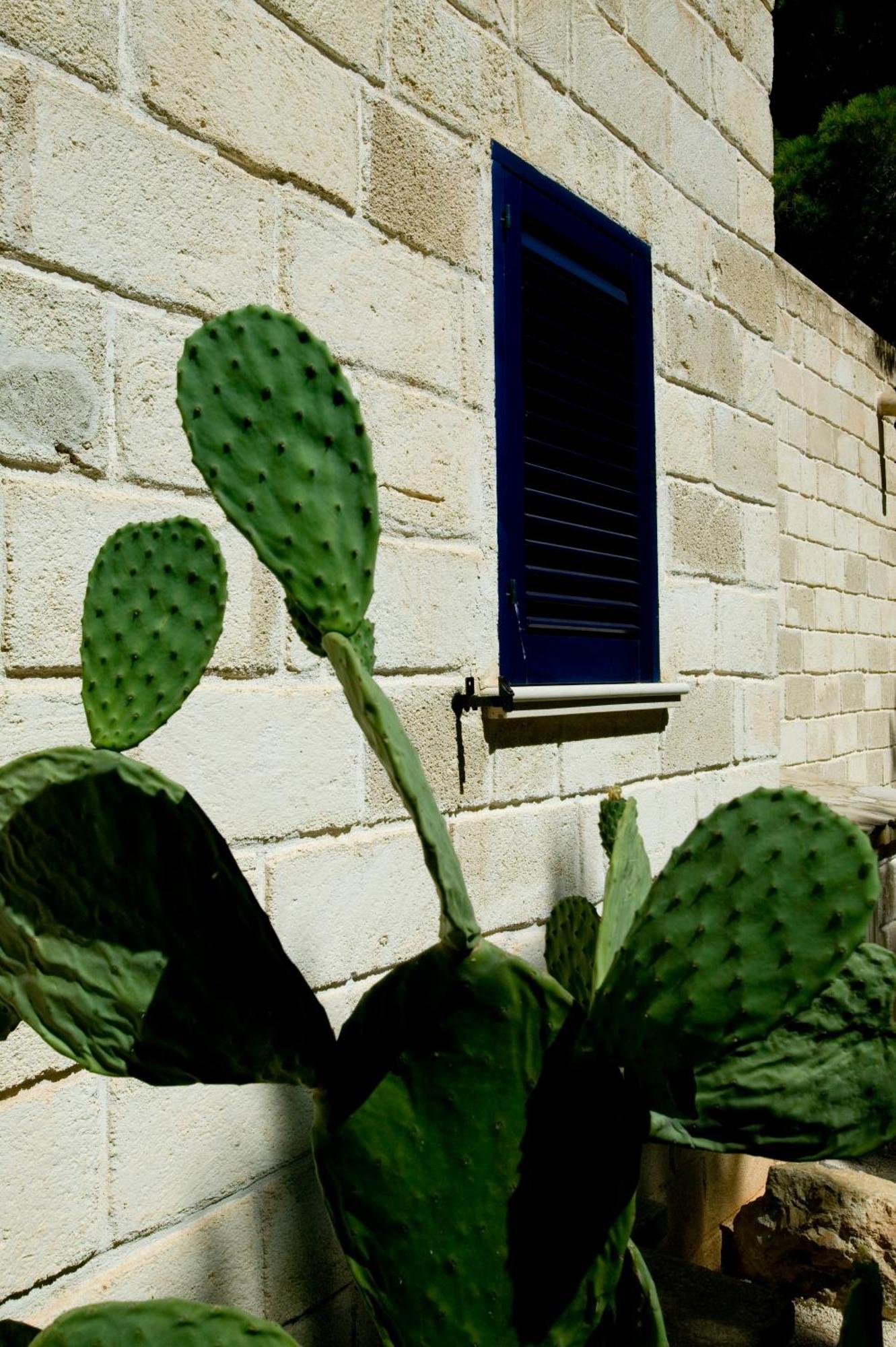 פאביננה Miramare Residence מראה חיצוני תמונה