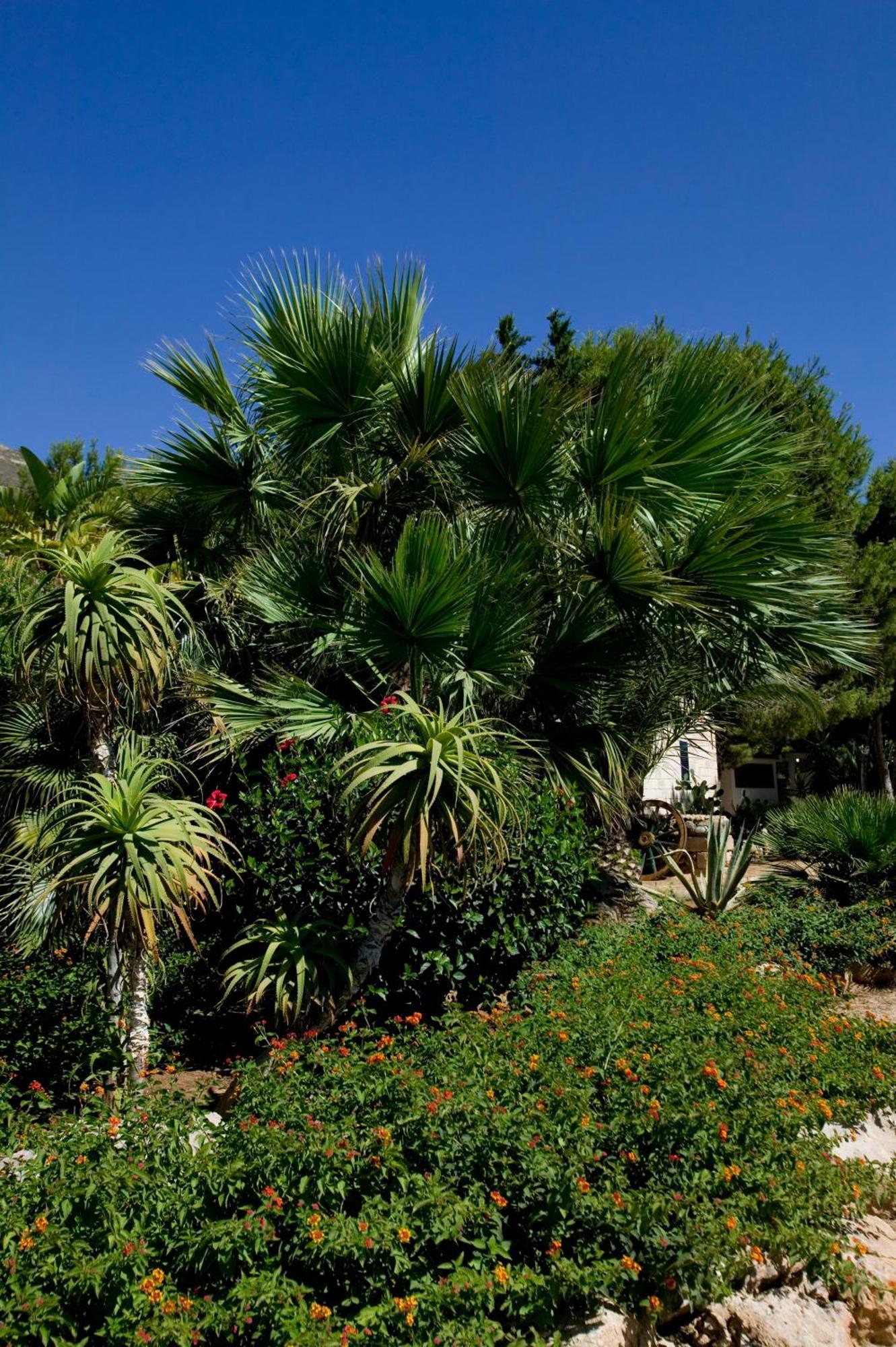 פאביננה Miramare Residence מראה חיצוני תמונה
